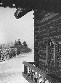 Дом Елизарова. Фрагмент